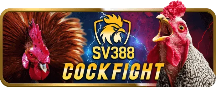 Chương Trình Hoàn Trả i9bet41